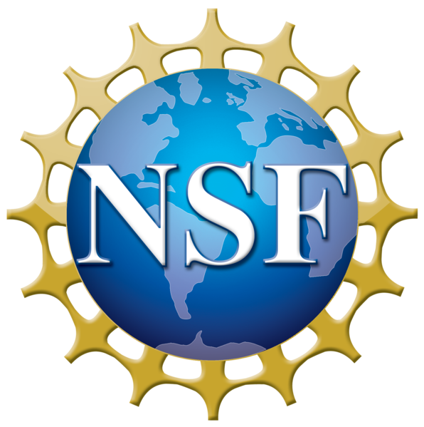 NSF logo